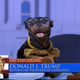 Illustration for article titled Triumph’s Election Special 2016 poops on politics for too long